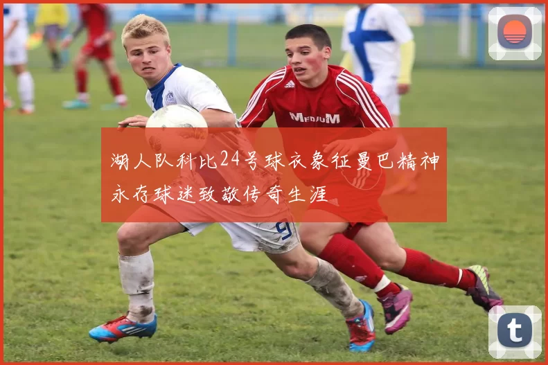 湖人队科比24号球衣象征曼巴精神永存球迷致敬传奇生涯